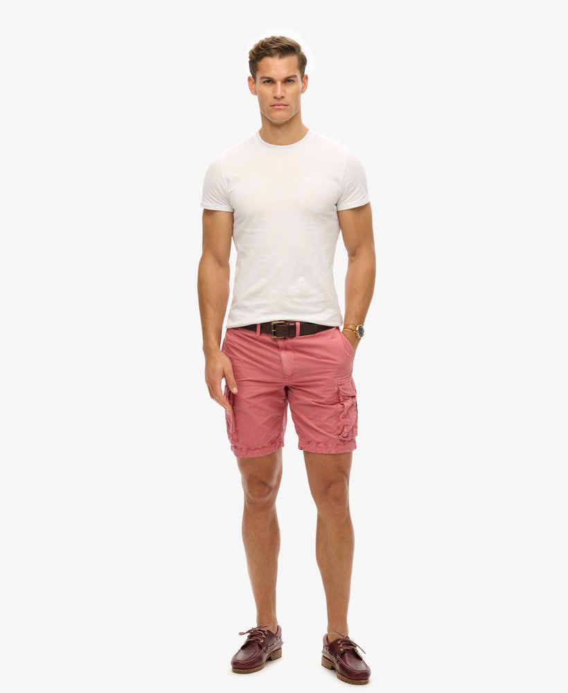 parachute light shorts in dusty rose