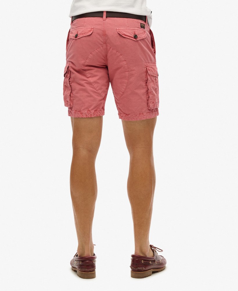 parachute light shorts in dusty rose