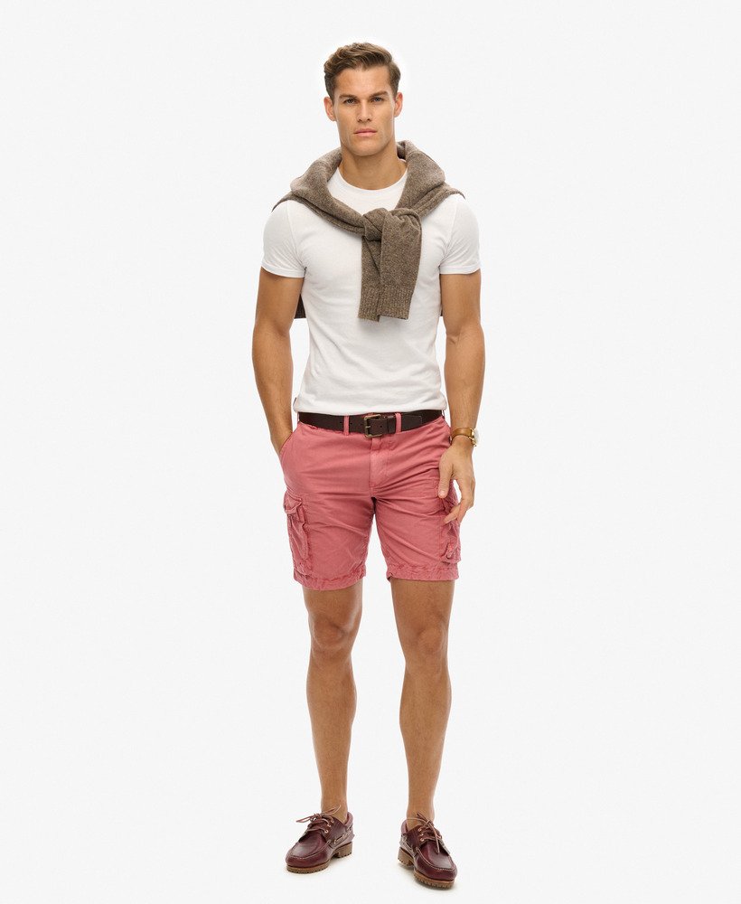 parachute light shorts in dusty rose