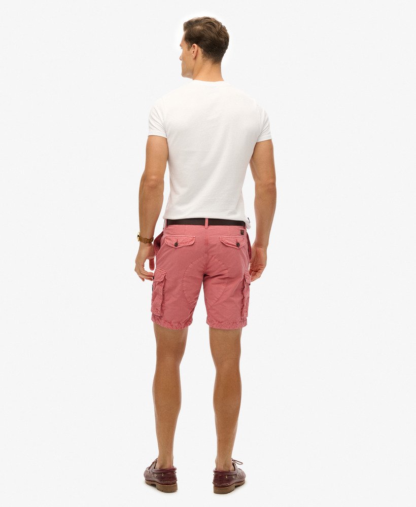parachute light shorts in dusty rose