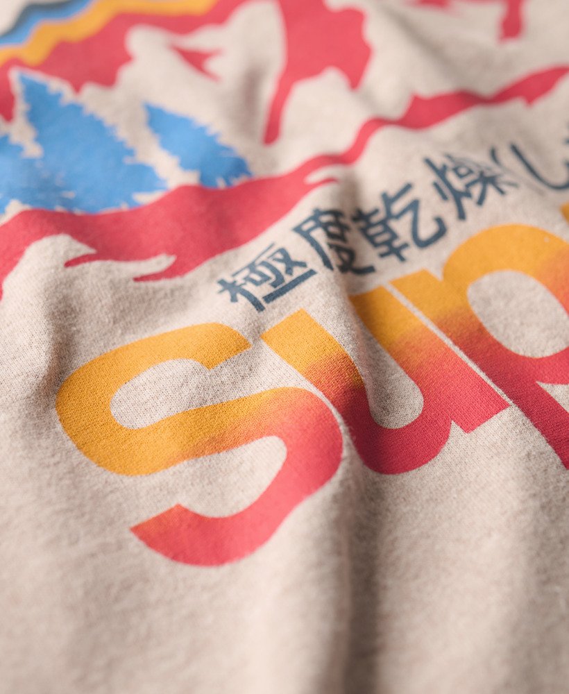 t-shirt met grafische print van great outdoors in lavin beige marl.