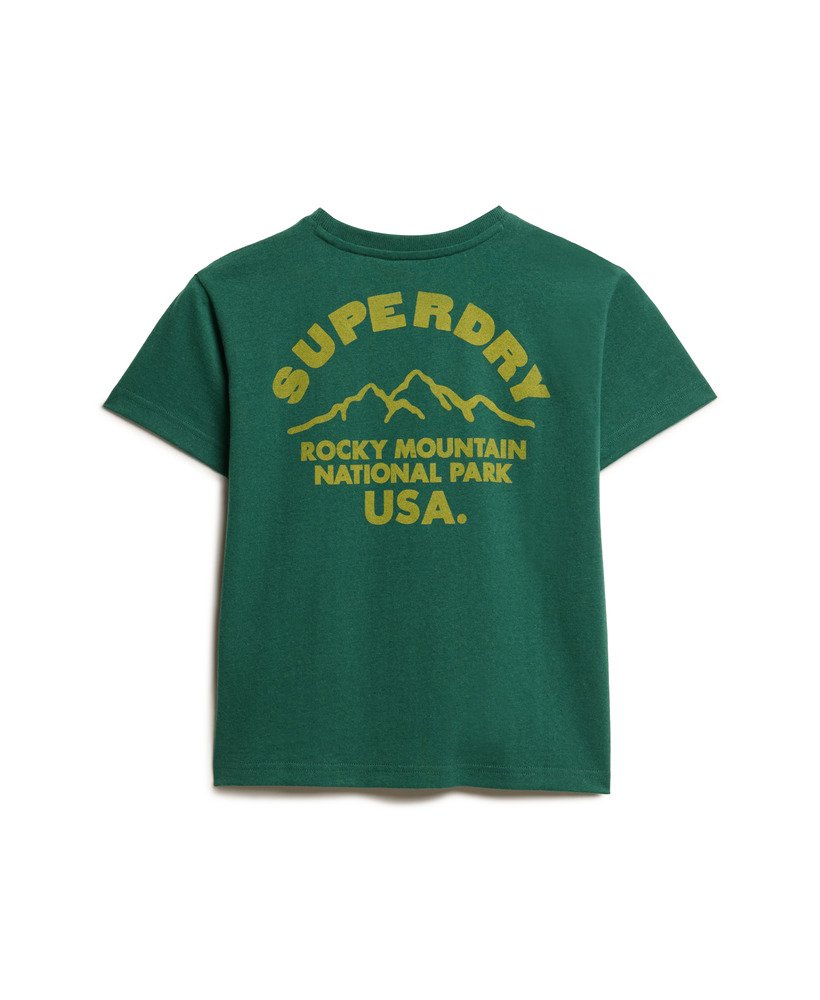 lo-fi outdoor fitted t-shirt in bengreen marl